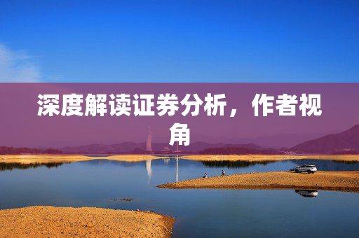 深度解读证券分析，作者视角