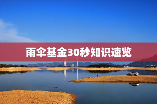 雨伞基金30秒知识速览