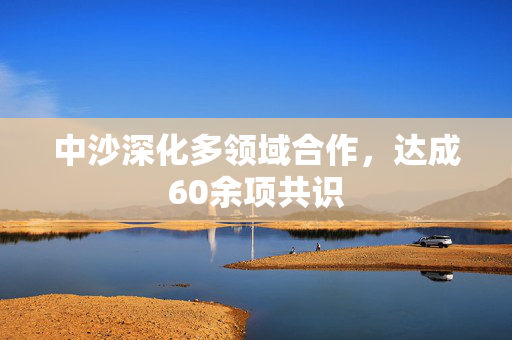 中沙深化多领域合作，达成60余项共识