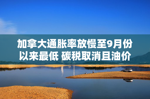 加拿大通胀率放慢至9月份以来最低 碳税取消且油价下跌