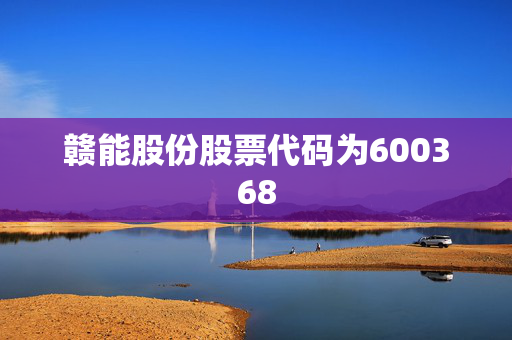 赣能股份股票代码为600368