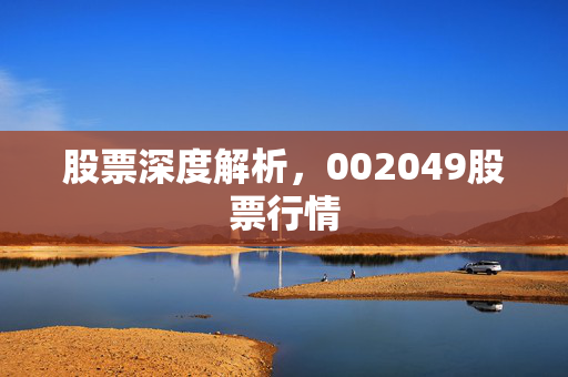 股票深度解析，002049股票行情