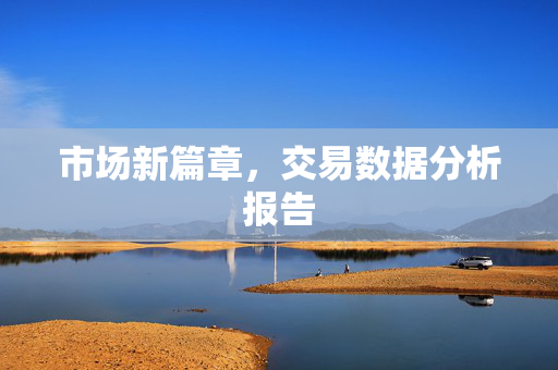 市场新篇章，交易数据分析报告
