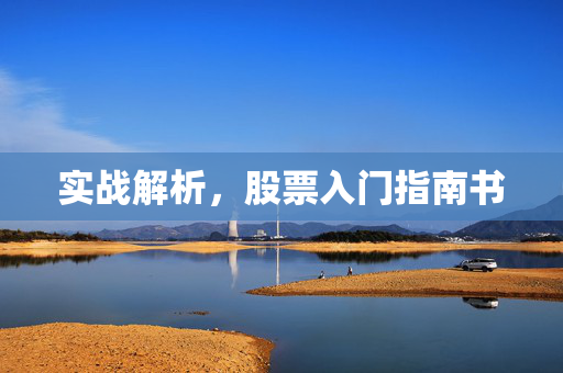 实战解析，股票入门指南书