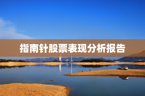 指南针股票表现分析报告