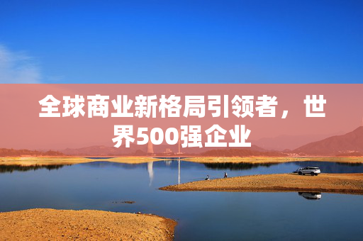 全球商业新格局引领者，世界500强企业