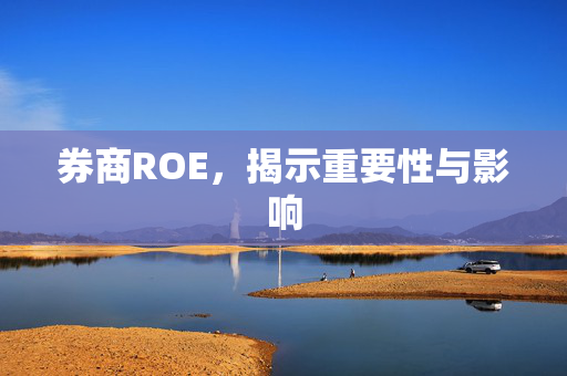 券商ROE，揭示重要性与影响