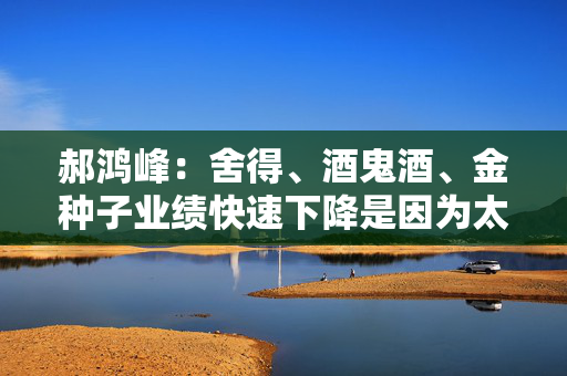 郝鸿峰：舍得、酒鬼酒、金种子业绩快速下降是因为太善良、太诚实