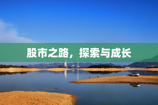股市之路，探索与成长
