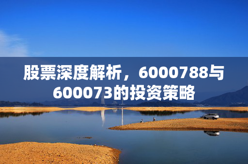 股票深度解析，6000788与600073的投资策略