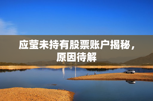 应莹未持有股票账户揭秘，原因待解