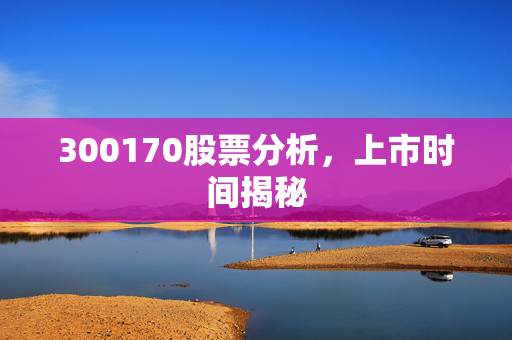 300170股票分析，上市时间揭秘