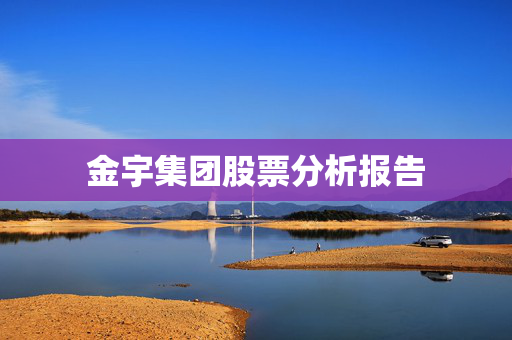 金宇集团股票分析报告