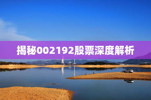 揭秘002192股票深度解析