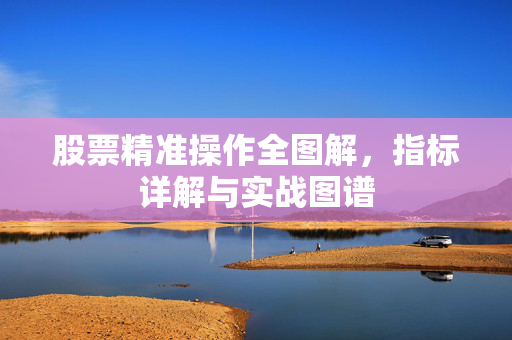 股票精准操作全图解，指标详解与实战图谱