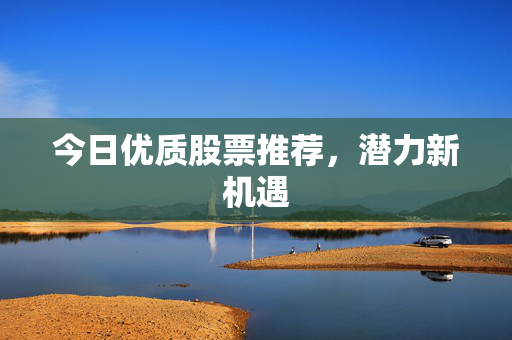 今日优质股票推荐，潜力新机遇