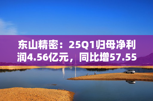 东山精密：25Q1归母净利润4.56亿元，同比增57.55%