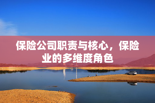 保险公司职责与核心，保险业的多维度角色