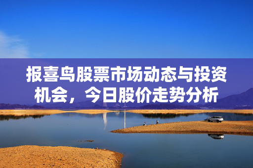 报喜鸟股票市场动态与投资机会，今日股价走势分析