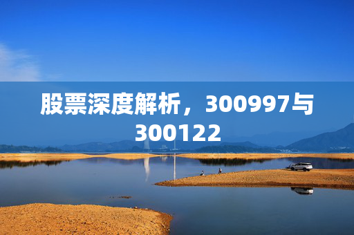 股票深度解析，300997与300122