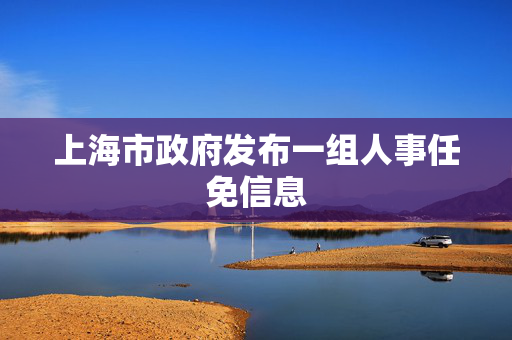 上海市政府发布一组人事任免信息