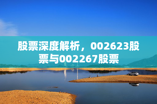 股票深度解析，002623股票与002267股票