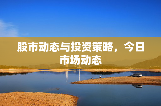 股市动态与投资策略，今日市场动态