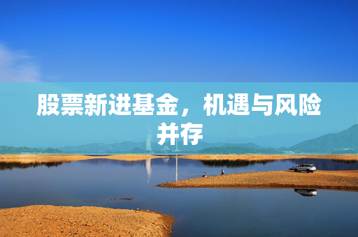 股票新进基金，机遇与风险并存