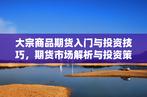 大宗商品期货入门与投资技巧，期货市场解析与投资策略