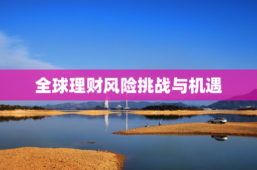 全球理财风险挑战与机遇