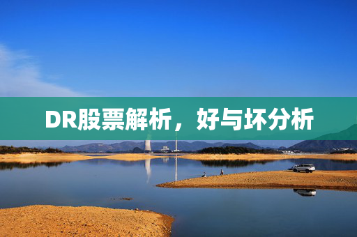 DR股票解析，好与坏分析