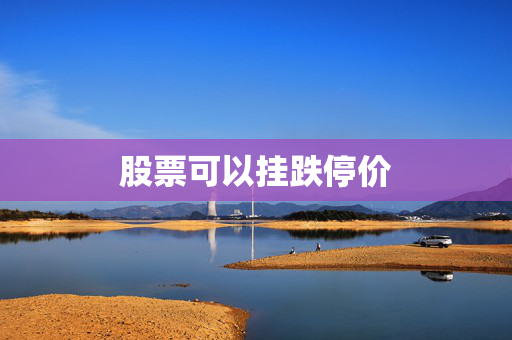 股票可以挂跌停价
