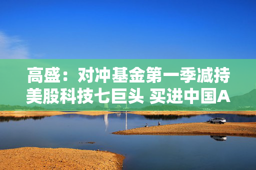 高盛：对冲基金第一季减持美股科技七巨头 买进中国ADR