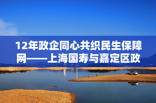12年政企同心共织民生保障网——上海国寿与嘉定区政府创新民生综合保险项目