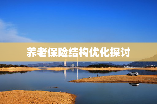 养老保险结构优化探讨