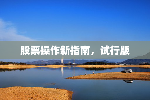 股票操作新指南，试行版