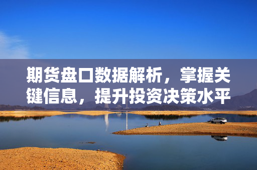 期货盘口数据解析，掌握关键信息，提升投资决策水平