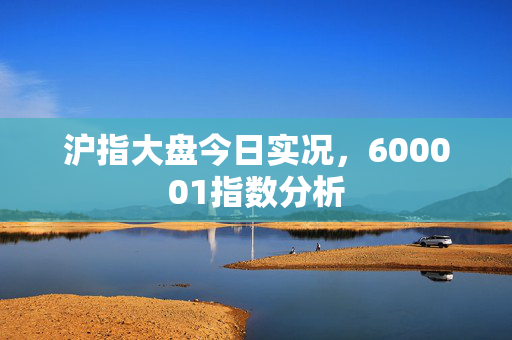 沪指大盘今日实况，600001指数分析