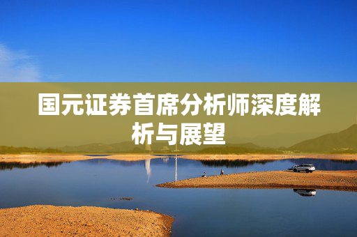 国元证券首席分析师深度解析与展望