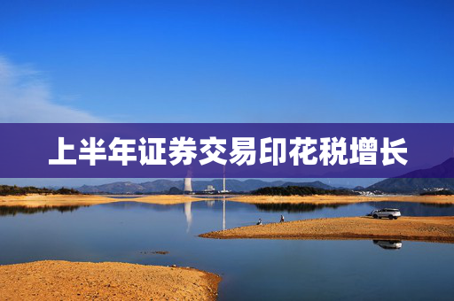 上半年证券交易印花税增长