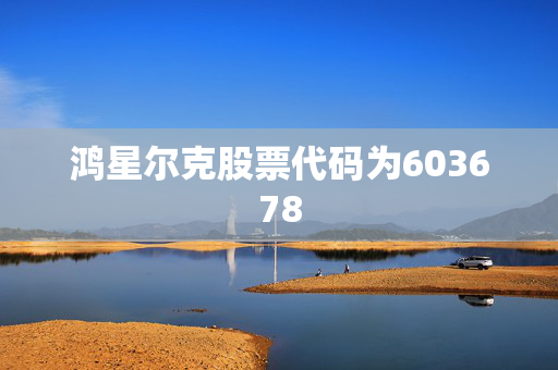 鸿星尔克股票代码为603678