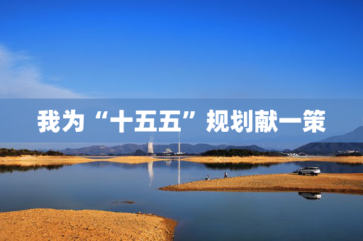 我为“十五五”规划献一策