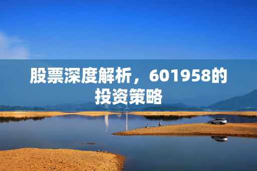 股票深度解析，601958的投资策略