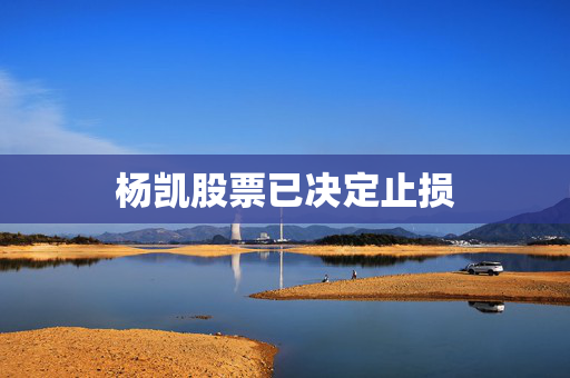杨凯股票已决定止损