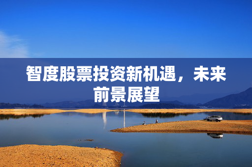 智度股票投资新机遇，未来前景展望