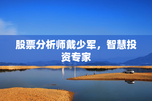 股票分析师戴少军，智慧投资专家