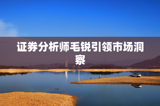 证券分析师毛锐引领市场洞察