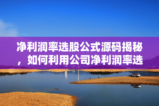 净利润率选股公式源码揭秘，如何利用公司净利润率选股技巧