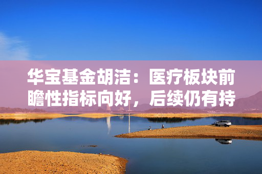 华宝基金胡洁：医疗板块前瞻性指标向好，后续仍有持续上涨动力