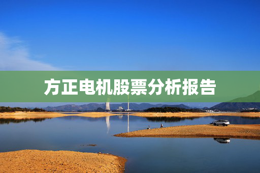 方正电机股票分析报告
